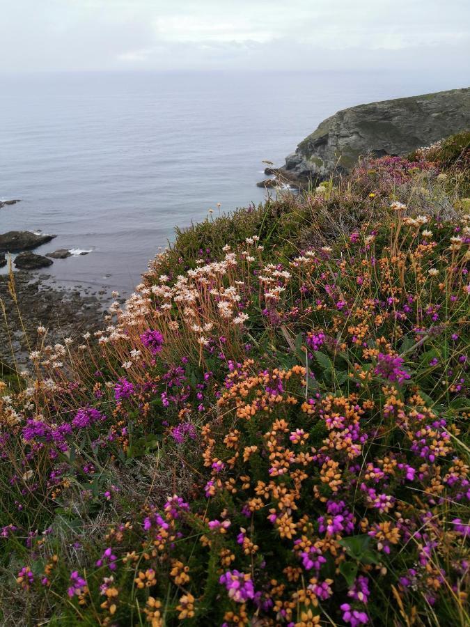 Captivating Isolde Cottage With Pool Near St Ives Camborne Esterno foto